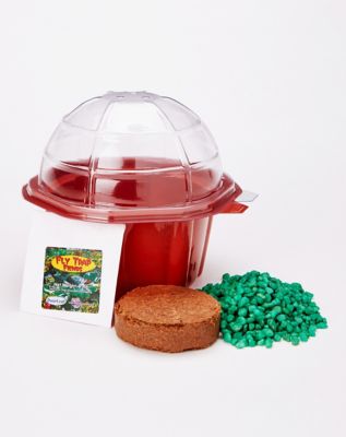 Franki Fly Trap Mini Dome Terrarium