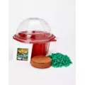 Franki Fly Trap Mini Dome Terrarium at Spencer's