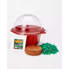 Franki Fly Trap Mini Dome Terrarium at Spencer's