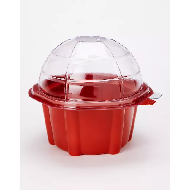 Franki Fly Trap Mini Dome Terrarium at Spencer's