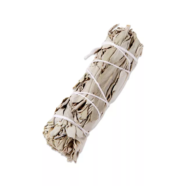 Sage Smudge Kit at Spencer's