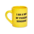 Ray of Fucking Sunshine Mug Shot Glass 1.5 oz. at Spencer's