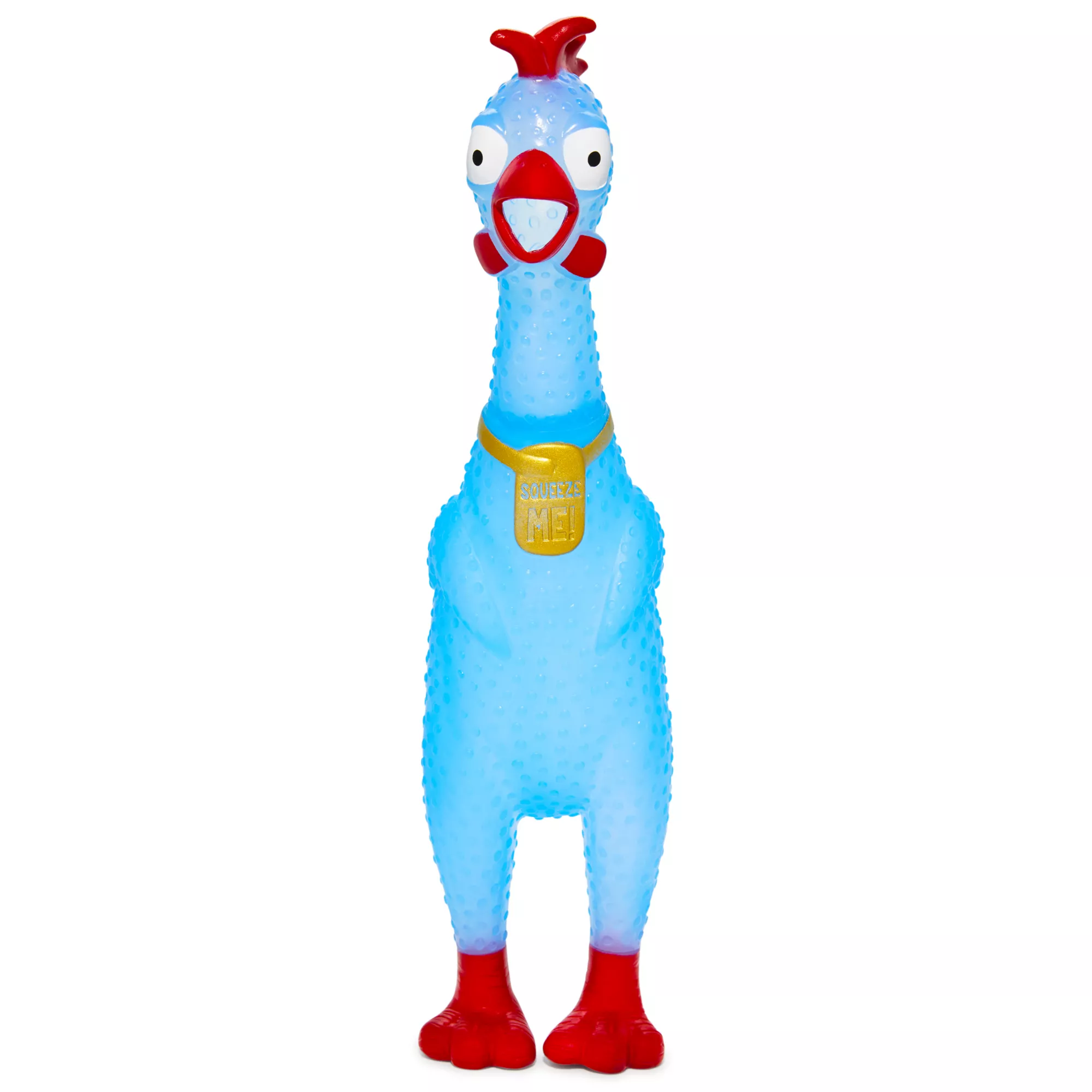 Blue Squeeze Plastic Chicken at Spencer's
