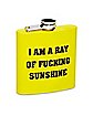 Ray of Fucking Sunshine Flask - 6 oz.