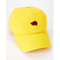 Rose Dad Hat at Spencer's