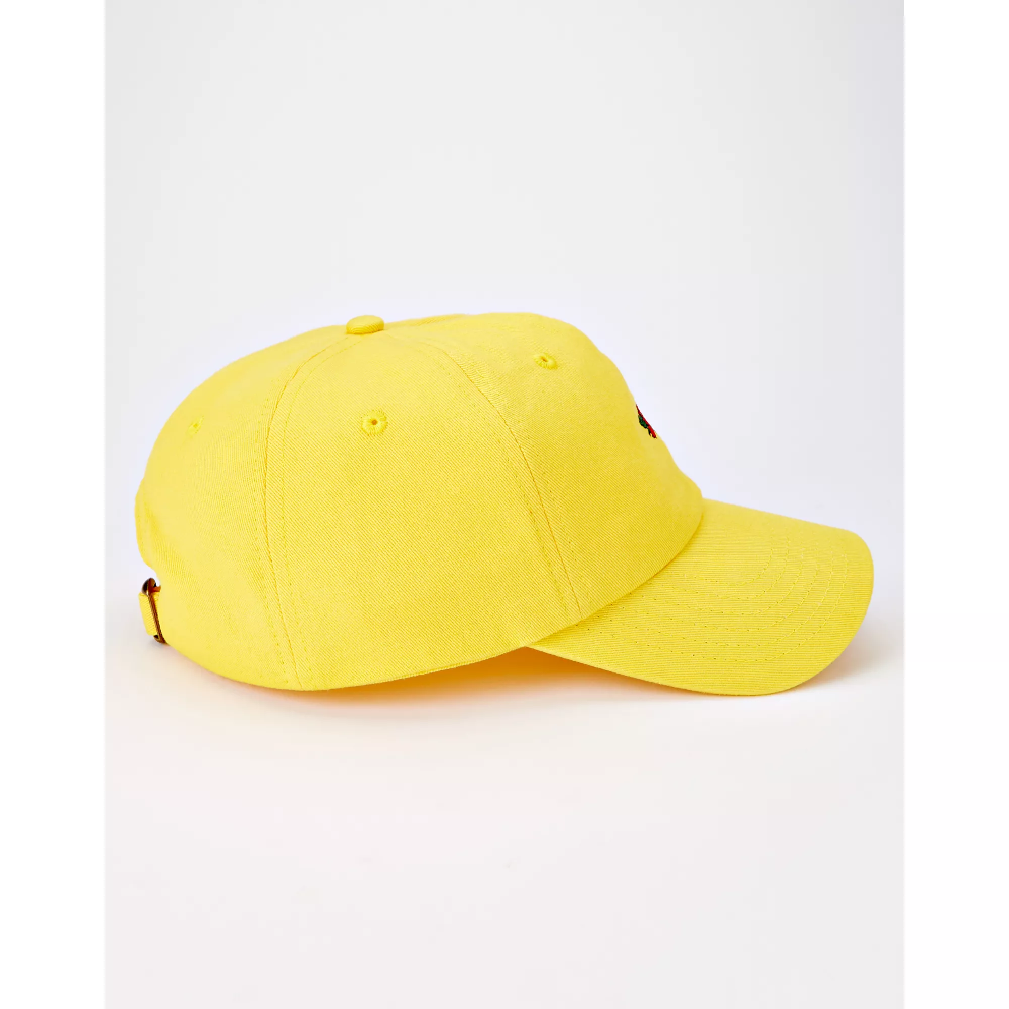 Rose Dad Hat at Spencer's