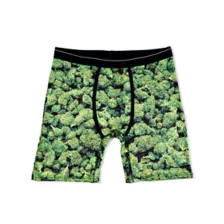 Bud Boxer Briefs at Spencer's