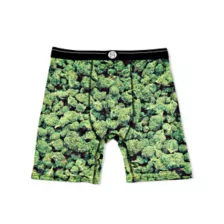 Bud Boxer Briefs at Spencer's