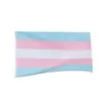 Transgender Pride Flag Banner at Spencer's