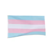 Transgender Pride Flag Banner at Spencer's