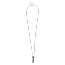 Green Chip Necklace at Spencer's