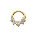 Goldtone CZ Hinged Septum Ring - 16 Gauge at Spencer's