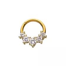 Goldtone CZ Hinged Septum Ring - 16 Gauge at Spencer's
