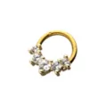 Goldtone CZ Hinged Septum Ring - 16 Gauge at Spencer's