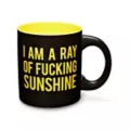 Black I Am A Ray of Sunshine Coffee Mug - 20 oz. at Spencer's
