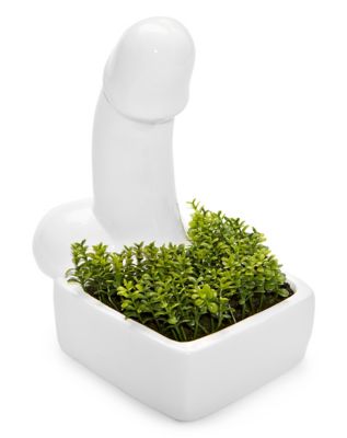 Penis Planter 