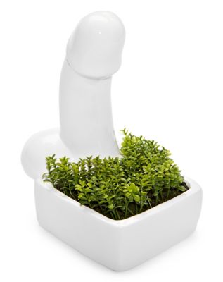 Bachelor Party Gag Decoration And Funny Tiny Penis Shaped Adult Toy  Accessories