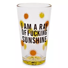 Ray of Fucking Sunshine Pint Glass - 16 oz. at Spencer's
