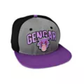 Pokéball Gengar Snapback Hat - Pokémon at Spirit Halloween