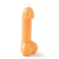 Super Fun Penis Big Candle at Spencer's