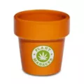 Plant Manager Planter Shot Glass - 2 oz. at Spencer's