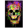 Splatter Skull Black Light Poster at Spirit Halloween