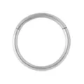 Hinged Hoop Nose Ring - 20 Gauge at Spencer's