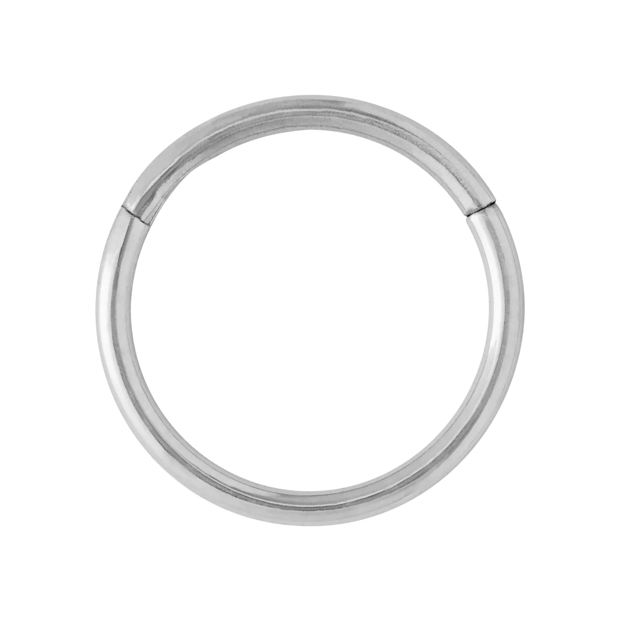 Hinged Hoop Nose Ring - 20 Gauge