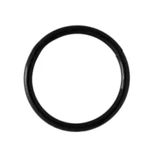 Black Hinged Hoop Nose Ring at Spencer's