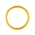 Goldtone Hinged Hoop Nose Ring at Spencer's