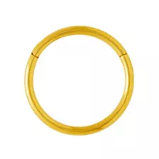 Goldtone Hinged Hoop Nose Ring at Spencer's
