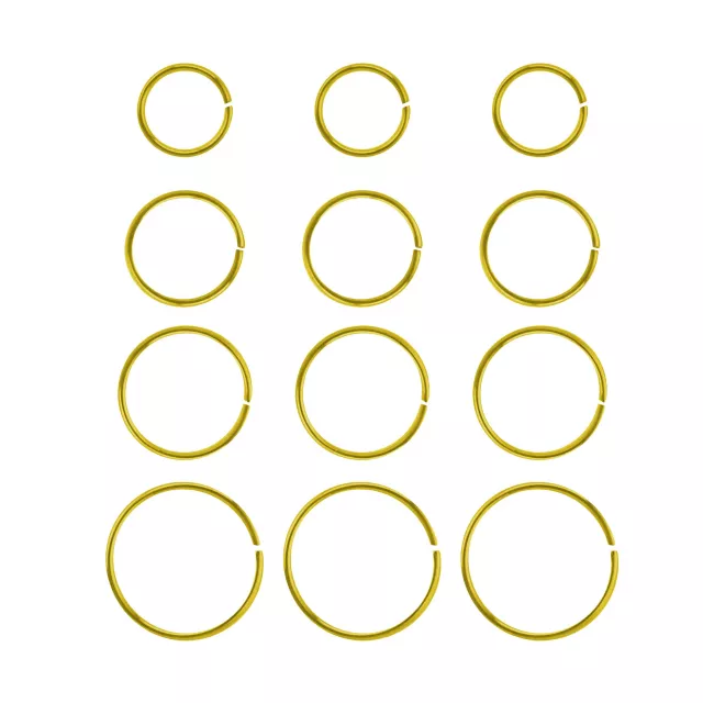 Multi-Pack Goldtone Hoop Nose Rings - 12 Pack at Spencer's