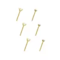 CZ Stud Nose Rings - 6 Pack at Spencer's