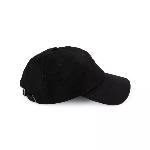 Tongue Dad Hat at Spencer's