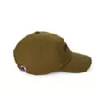 Champion Dad Hat at Spencer's