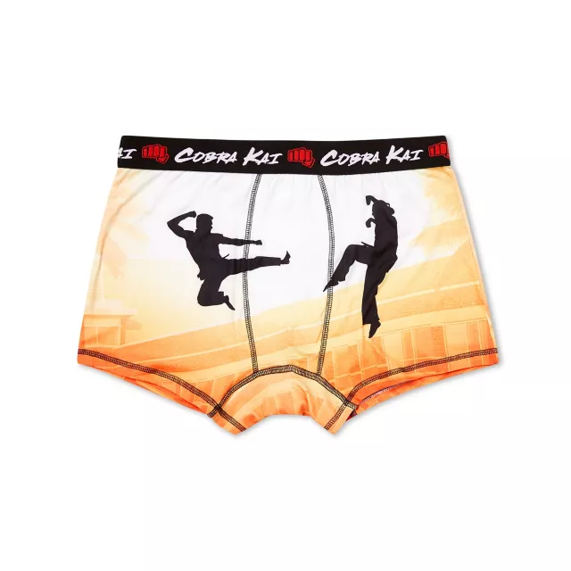 Cobra Kai Boxer Briefs at Spencer's