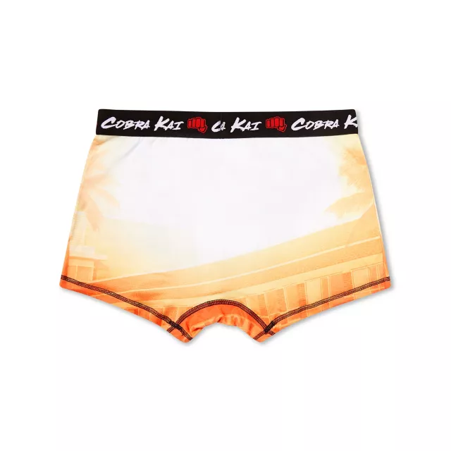 Cobra Kai Boxer Briefs at Spencer's