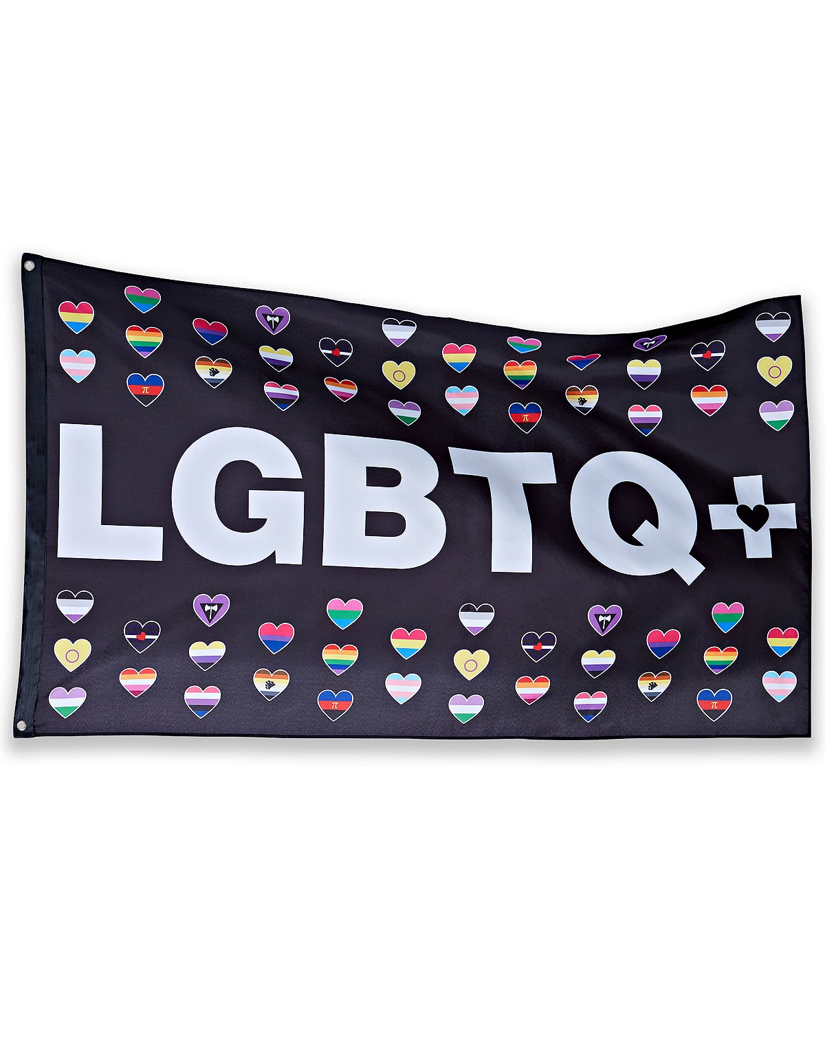 LGBTQ+ pride flags banner