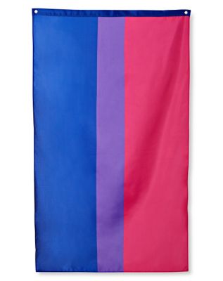 Bisexual Pride Cropped Jersey - Spencer's