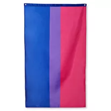 Bisexual Pride Flag at Spencer's