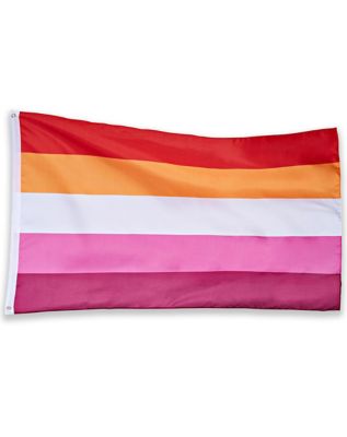 Transgender Pride Flag Banner - Spencer's