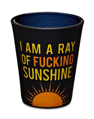 I Am a Ray of Fucking Sunshine Shot Glass