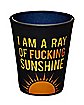 I Am A Ray Of Fucking Sunshine Shot Glass - 2 oz.