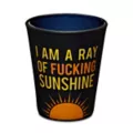 I Am A Ray Of Fucking Sunshine Shot Glass - 2 oz. at Spencer's