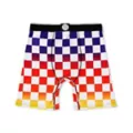 Rainbow Checkered Boxer Briefs at Spencer's