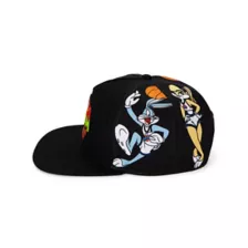 Space Jam Characters Snapback Hat at Spencer's