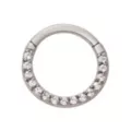 CZ Segment Hinged Hoop Ring at Spencer's