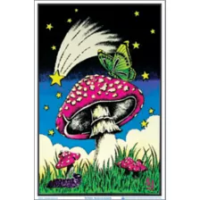 Butterfly Mushroom Poster at Spencer's