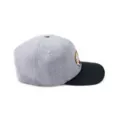 Rick and Morty Snapback Hat at Spencer's