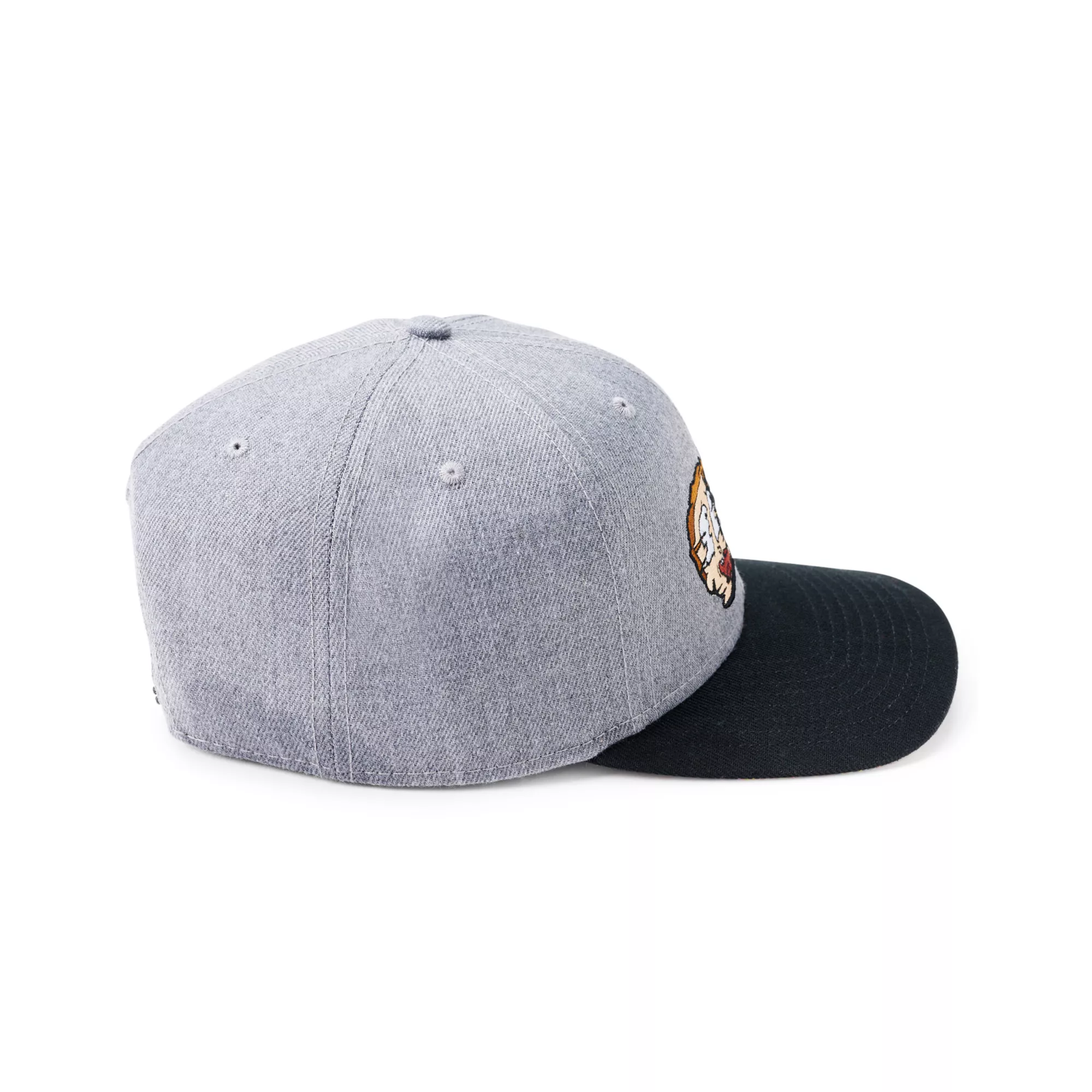 Rick and Morty Snapback Hat at Spencer's